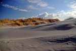 Düne