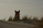 Düne