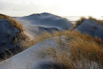 Düne