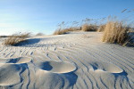 Düne