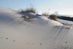 Düne