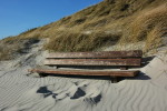 Düne