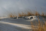 Düne