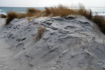 Düne