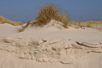 Düne