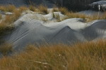 Düne