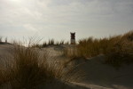 Düne