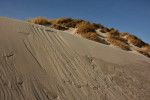 Düne