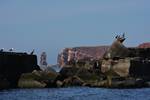 Helgoland
