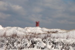 Inselwinter