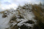 Inselwinter
