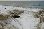 Inselwinter