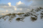 Inselwinter