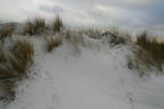 Inselwinter