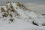 Inselwinter