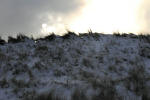 Inselwinter