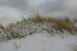 Inselwinter