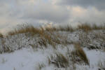 Inselwinter